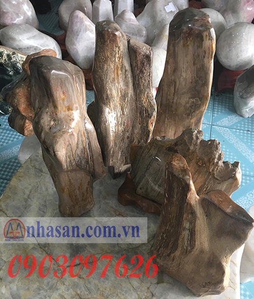 Feng shui fossil wood stone