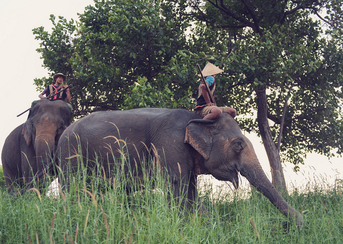 Du lịch hồ lăk 3