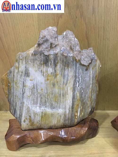 Đá gỗ hoá thạch-GHT-4.1