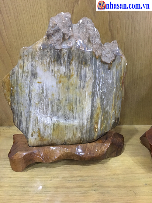 Đá gỗ hoá thạch-GHT-4.2