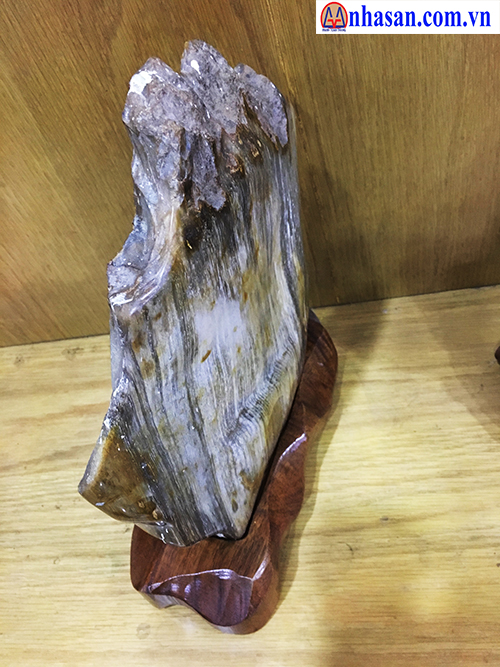 Đá gỗ hoá thạch-GHT-4.3