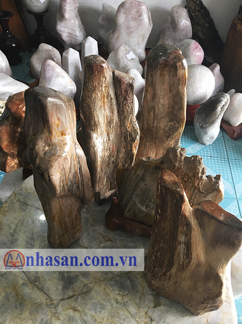 How much does fossil wood cost