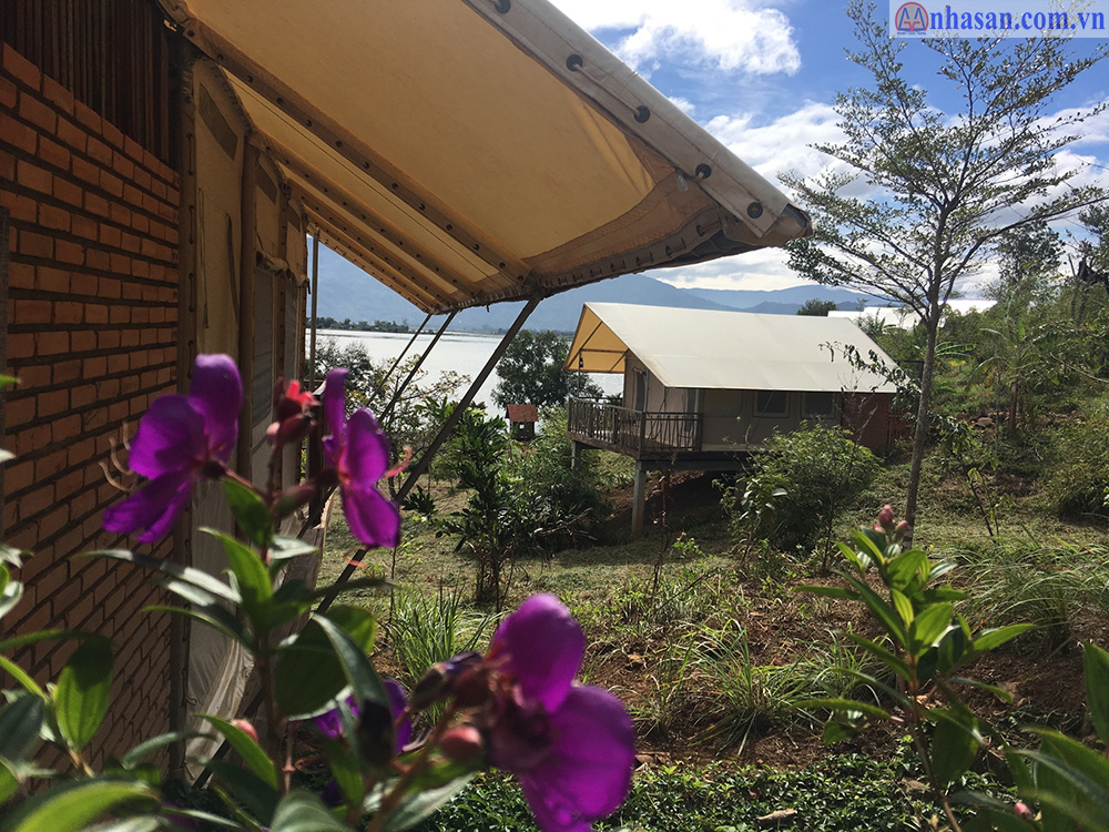 Hoa sim Lak Tented Camp