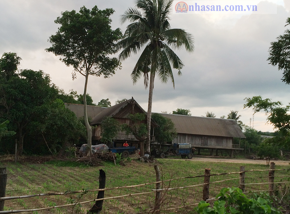 nhà sàn Tây Nguyên