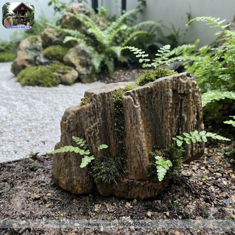 Một góc vườn Zen với khối gỗ hóa thạch thô HTT04 khi được kết hợp cùng cây xanh và rêu phong Một góc vườn Zen với khối gỗ hóa thạch thô HTT04 khi được kết hợp cùng cây xanh và rêu phong