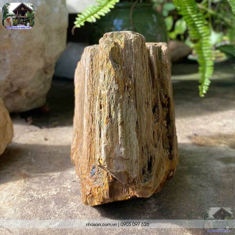 Góc nghiêng vững chãi khoe trọn kết cấu thớ gỗ thô nguyên thủy độc bản của khối gỗ hóa thạch thô HTT04 Góc nghiêng vững chãi khoe trọn kết cấu thớ gỗ thô nguyên thủy độc bản của khối gỗ hóa thạch thô HTT04