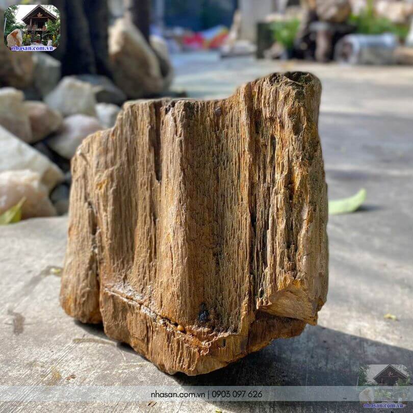 Khối gỗ hóa thạch thô HTT04 trân trọng những giá trị nguyên bản của tự nhiên Khối gỗ hóa thạch thô HTT04 trân trọng những giá trị nguyên bản của tự nhiên