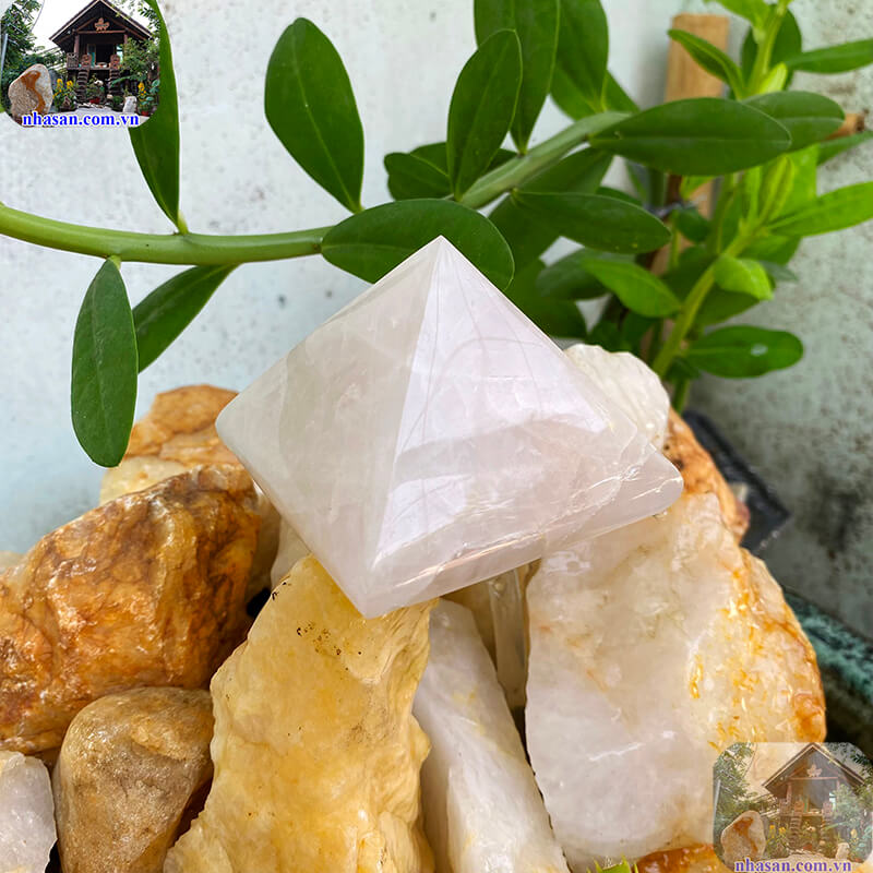 Đem đến nhiều lợi ích về tâm linh và sức khỏe Đem đến nhiều lợi ích về tâm linh và sức khỏe