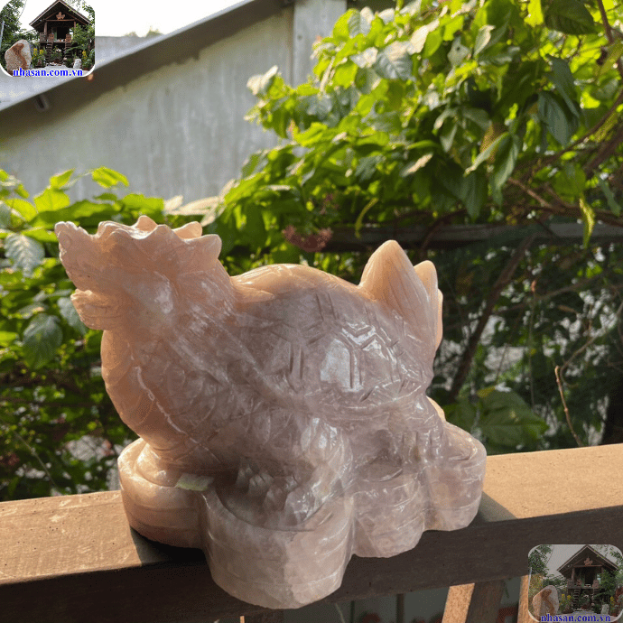 Long Quy là linh vật đem lại sự bình an và trường thọ cho người Mậu Thìn Long Quy là linh vật đem lại sự bình an và trường thọ cho người Mậu Thìn