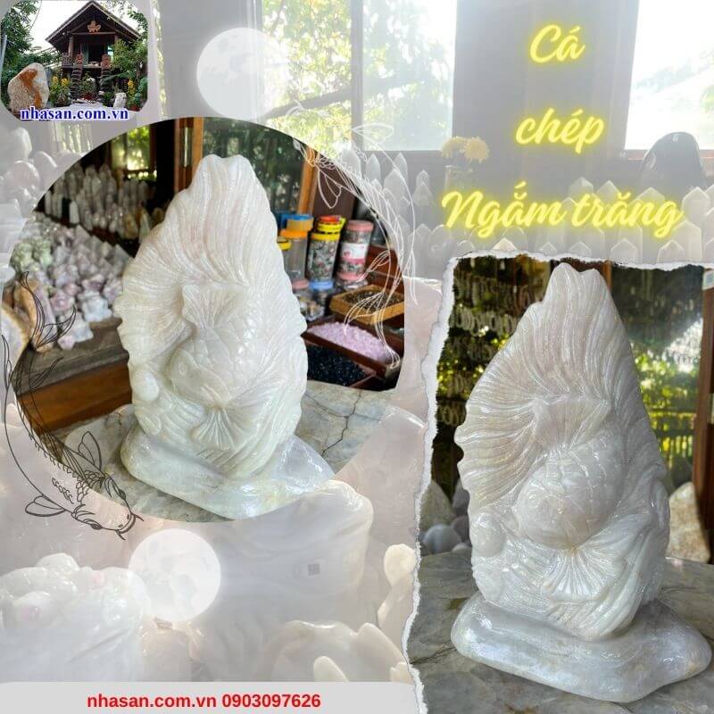 Cá chép ngắm trăng - Biểu tượng của sức khỏe, may mắn Cá chép ngắm trăng - Biểu tượng của sức khỏe, may mắn