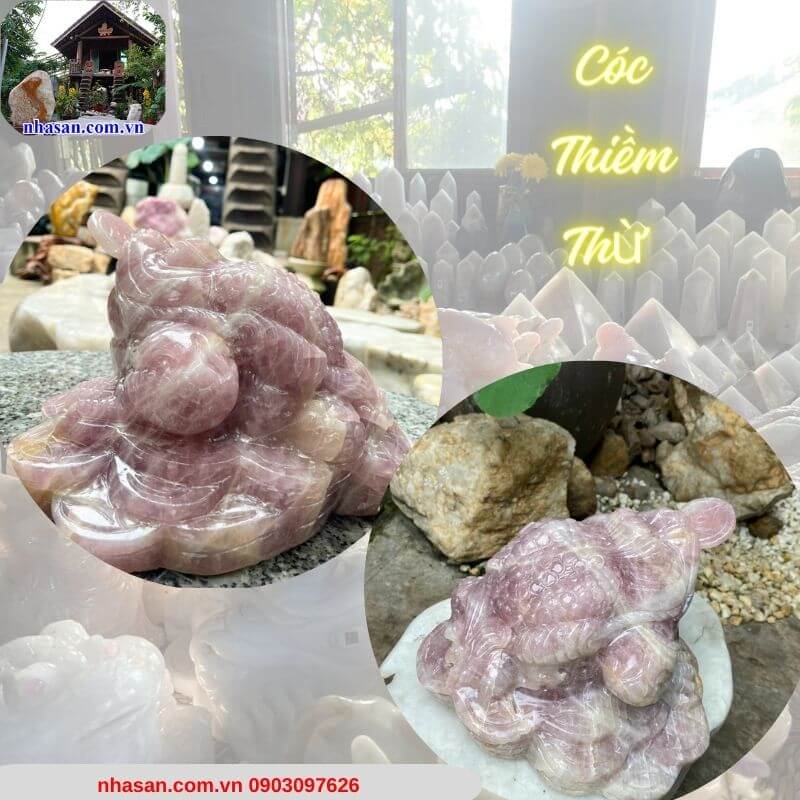 Thiềm thừ - Cóc ngậm tiền - Biểu tượng của vượng khí, tài lộc Thiềm thừ - Cóc ngậm tiền - Biểu tượng của vượng khí, tài lộc