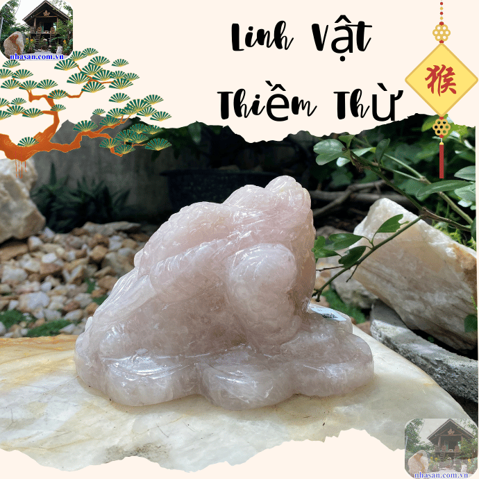 4. Hướng dẫn lựa chọn và sử dụng linh vật