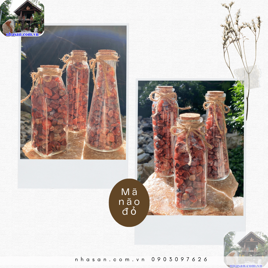 Nên đặt lọ tại những nơi trang trọng, có nguồn sáng tốt Nên đặt lọ tại những nơi trang trọng, có nguồn sáng tốt