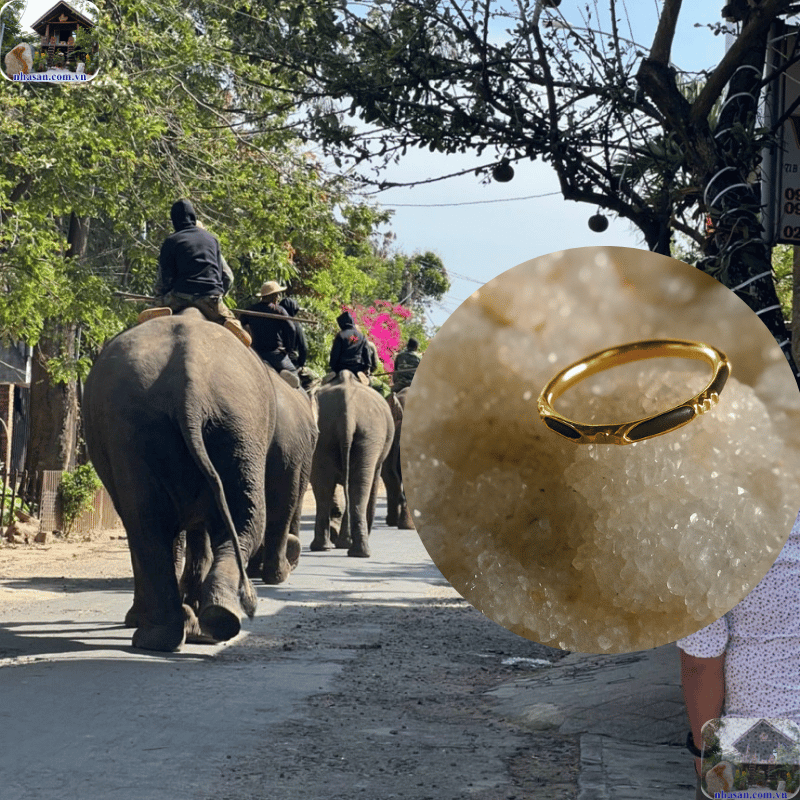 Trong phong thủy và tâm linh, lông đuôi voi có công dụng gì với người sở hữu Trong phong thủy và tâm linh, lông đuôi voi có công dụng gì với người sở hữu