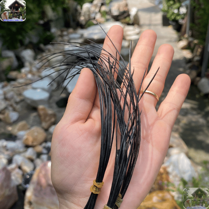 Lông đuôi voi mở đường cho những vận may đến, giúp người đeo gặp nhiều thuận lợi Lông đuôi voi mở đường cho những vận may đến, giúp người đeo gặp nhiều thuận lợi