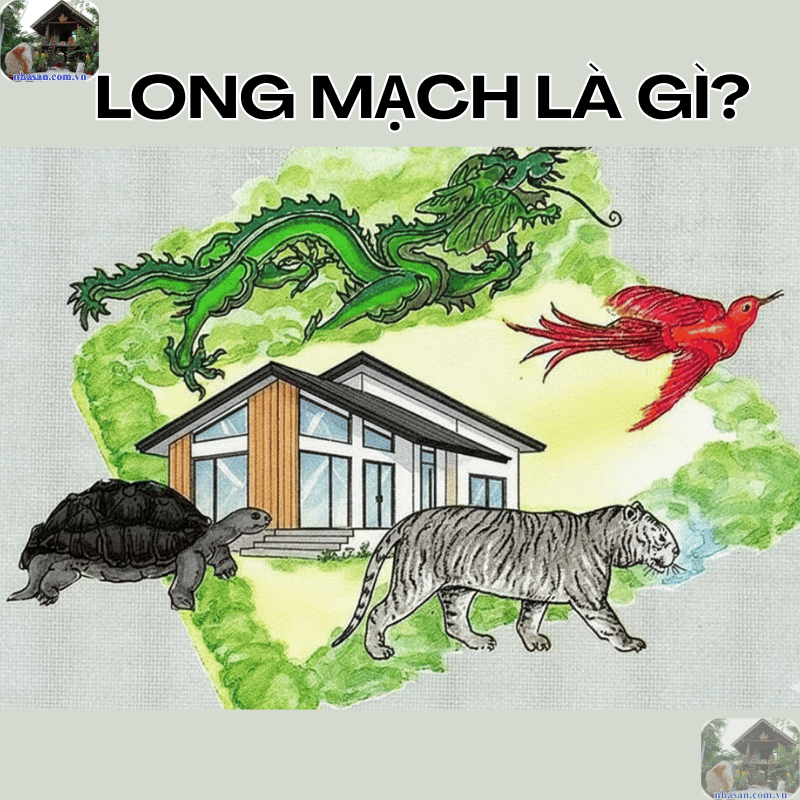 Long mạch là gì? Là dòng chảy năng lượng hình thành nên các dãy núi, đồi, sông suối và các mạch nước ngầm Long mạch là gì? Là dòng chảy năng lượng hình thành nên các dãy núi, đồi, sông suối và các mạch nước ngầm