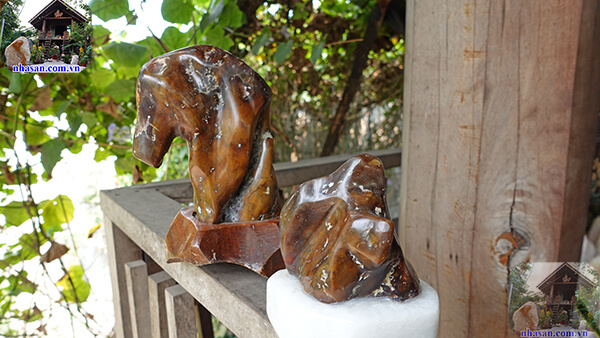 Năng lượng từ mã não giúp tạo sự cân bằng Năng lượng từ mã não giúp tạo sự cân bằng