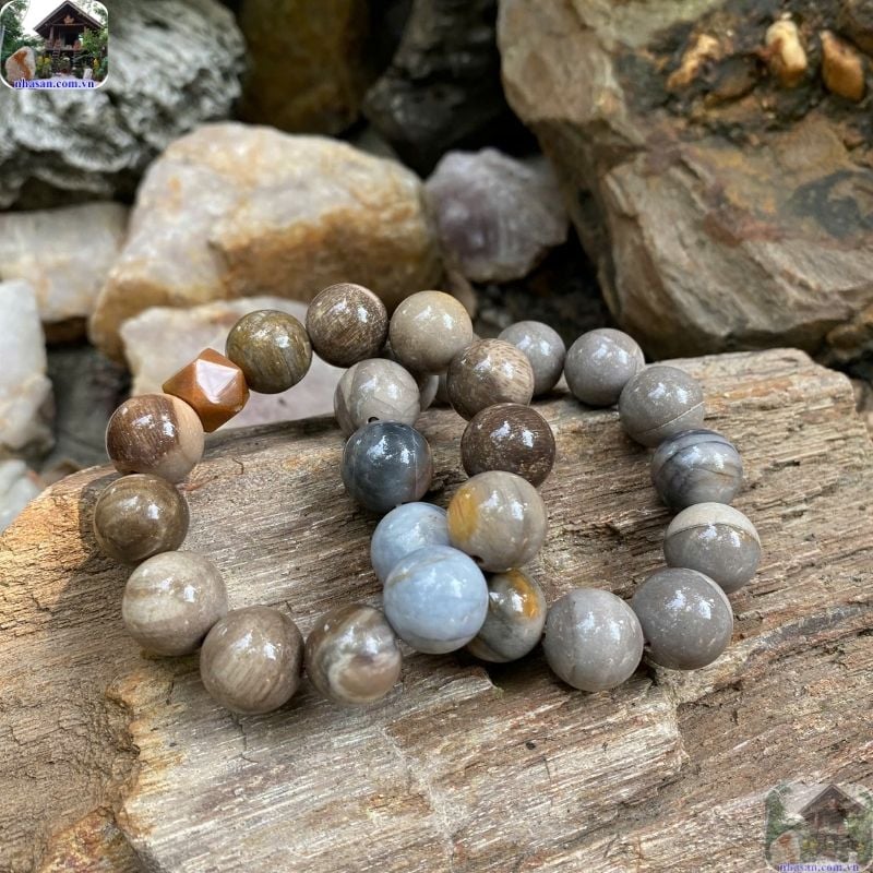 Gỗ hóa thạch mang năng lượng địa tầng cực lớn, rất hợp với người mệnh Kim Gỗ hóa thạch mang năng lượng địa tầng cực lớn, rất hợp với người mệnh Kim