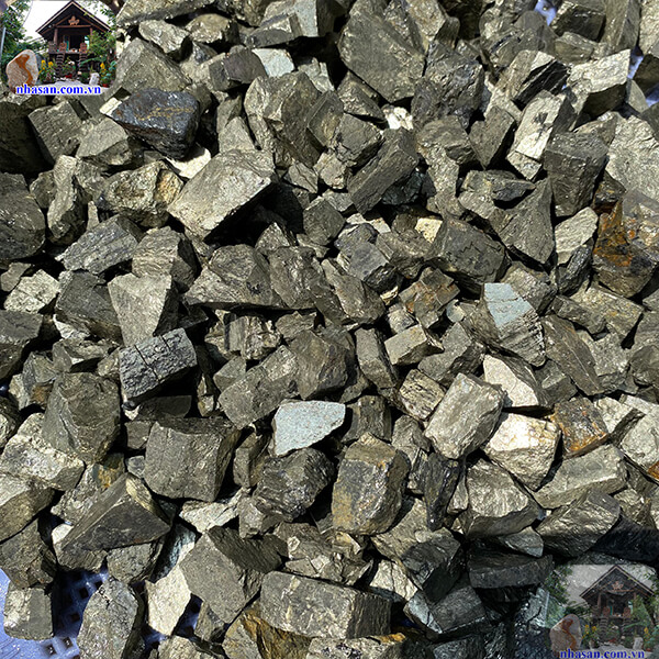 Vàng găm Việt Nam thường có vàng nhạt Vàng găm Việt Nam thường có vàng nhạt