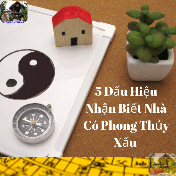 4. Biểu hiện tiêu cực trong sinh hoạt & sức khỏe