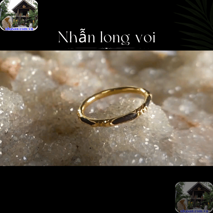 Đeo nhẫn lông đuôi voi giúp bảo vệ chủ nhân khỏi tà khí Đeo nhẫn lông đuôi voi giúp bảo vệ chủ nhân khỏi tà khí