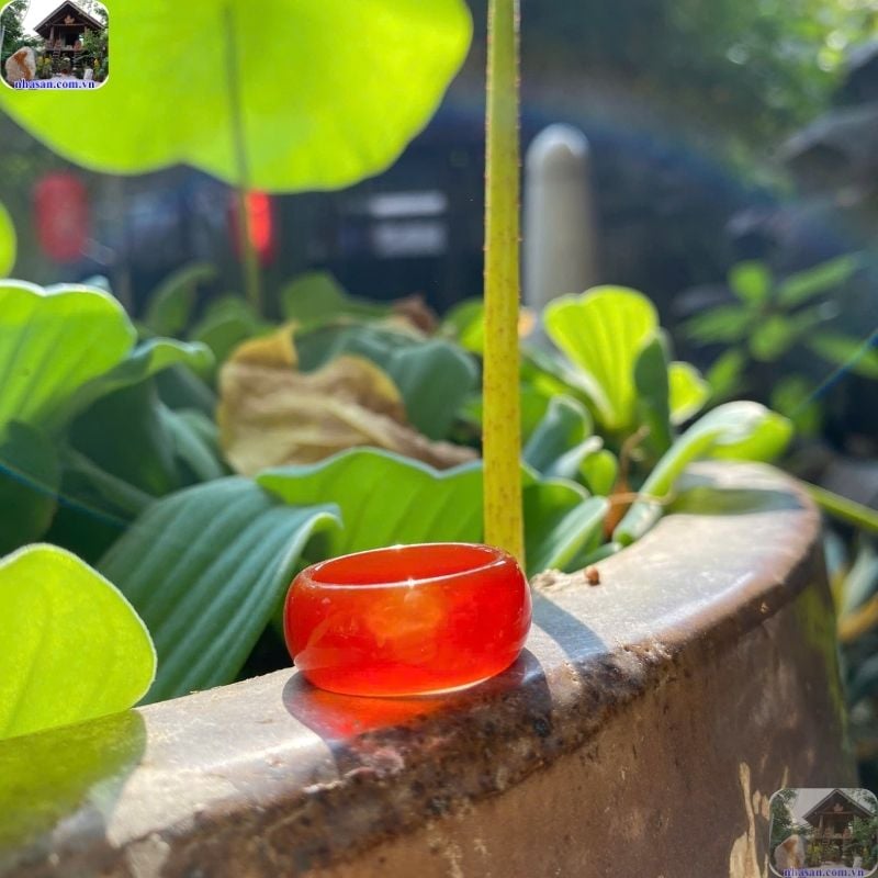 Ý nghĩa đeo nhẫn mã não ở từng ngón tay trong phong thủy Ý nghĩa đeo nhẫn mã não ở từng ngón tay trong phong thủy