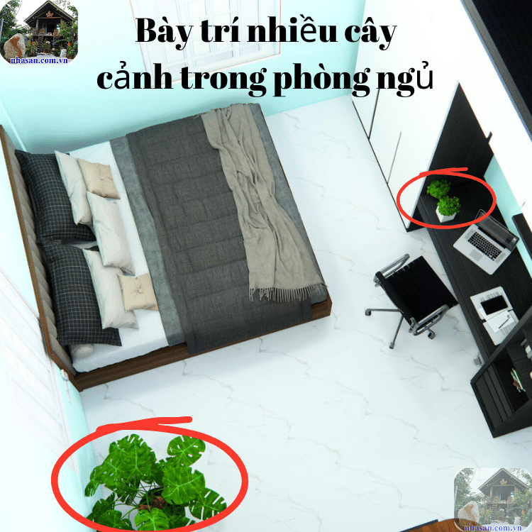 Đặt nhiều cây xanh trong phòng ngủ sẽ dẫn đến tình trạng thiếu oxy Đặt nhiều cây xanh trong phòng ngủ sẽ dẫn đến tình trạng thiếu oxy
