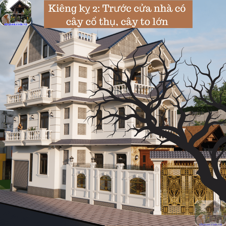 Cây cổ thụ trước cửa nhà gây cản trở dòng chảy tài lộc của gia đình Cây cổ thụ trước cửa nhà gây cản trở dòng chảy tài lộc của gia đình