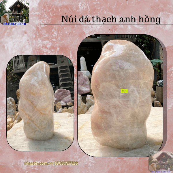 Trở thành lựa chọn hàng đầu cho những ai mong muốn cải thiện vận mệnh Trở thành lựa chọn hàng đầu cho những ai mong muốn cải thiện vận mệnh