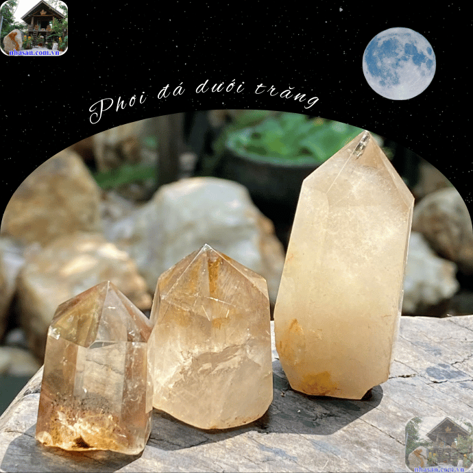 Nên phơi đá dưới trăng bao lâu là tốt? Nên phơi đá dưới trăng bao lâu là tốt?