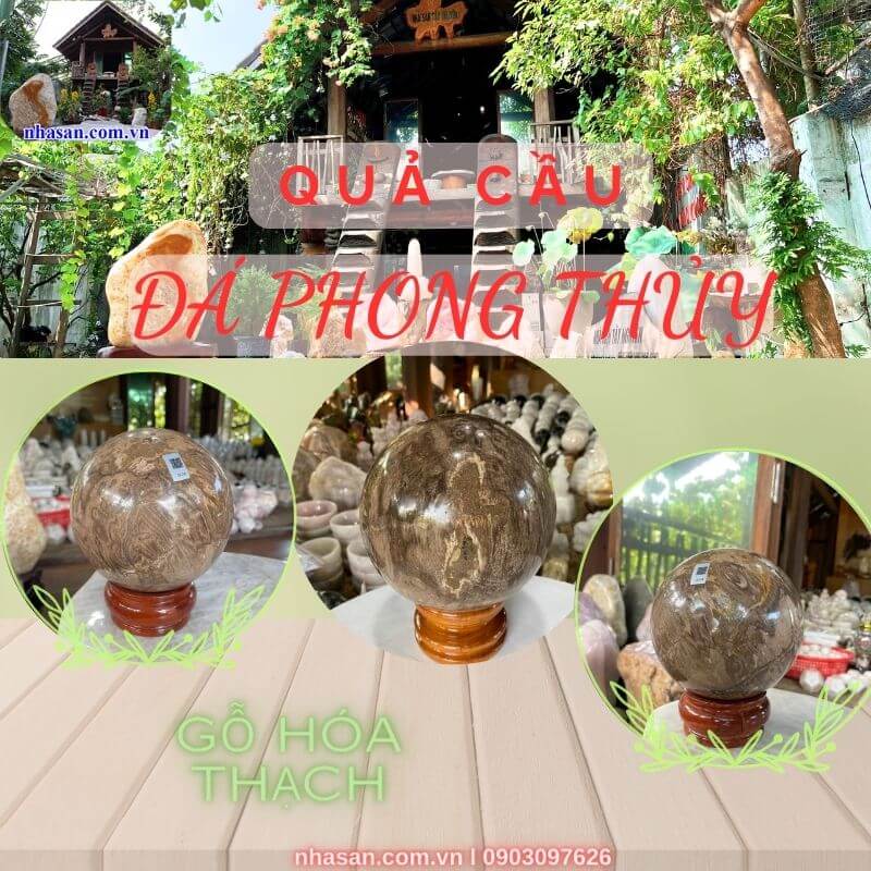 Quả cầu gỗ hóa thạch Quả cầu gỗ hóa thạch