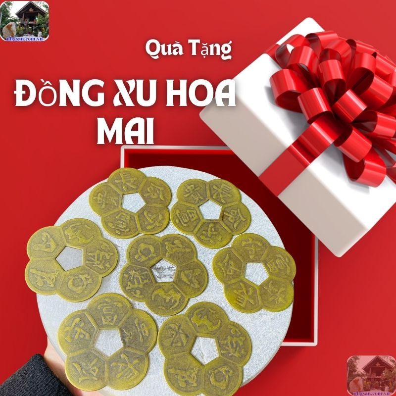 Đồng xu hoa mai mang giá trị tinh thần cao quý Đồng xu hoa mai mang giá trị tinh thần cao quý