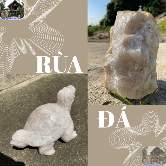Rùa phong thủy là một trong những biểu tượng linh thiêng, mang lại may mắn Rùa phong thủy là một trong những biểu tượng linh thiêng, mang lại may mắn