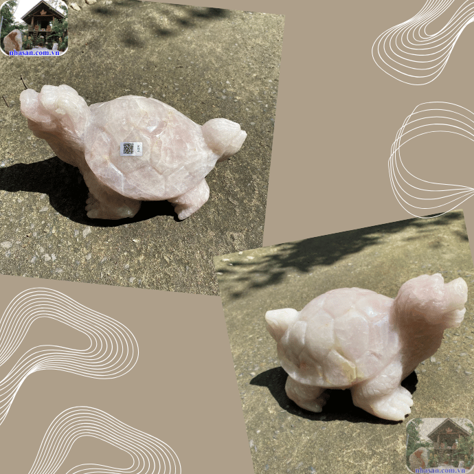 Rùa phong thủy có ý nghĩa gì nếu được đặt đúng vị trí? Rùa phong thủy có ý nghĩa gì nếu được đặt đúng vị trí?