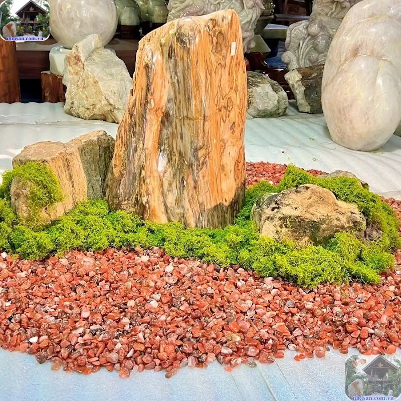 Gỗ hóa thạch thô thường dùng để trấn trạch, trang trí tiểu cảnh Gỗ hóa thạch thô thường dùng để trấn trạch, trang trí tiểu cảnh