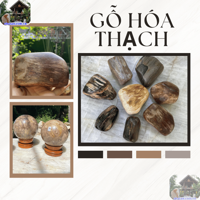 Gỗ hóa thạch còn mang trong mình năng lượng phong thủy mạnh mẽ Gỗ hóa thạch còn mang trong mình năng lượng phong thủy mạnh mẽ