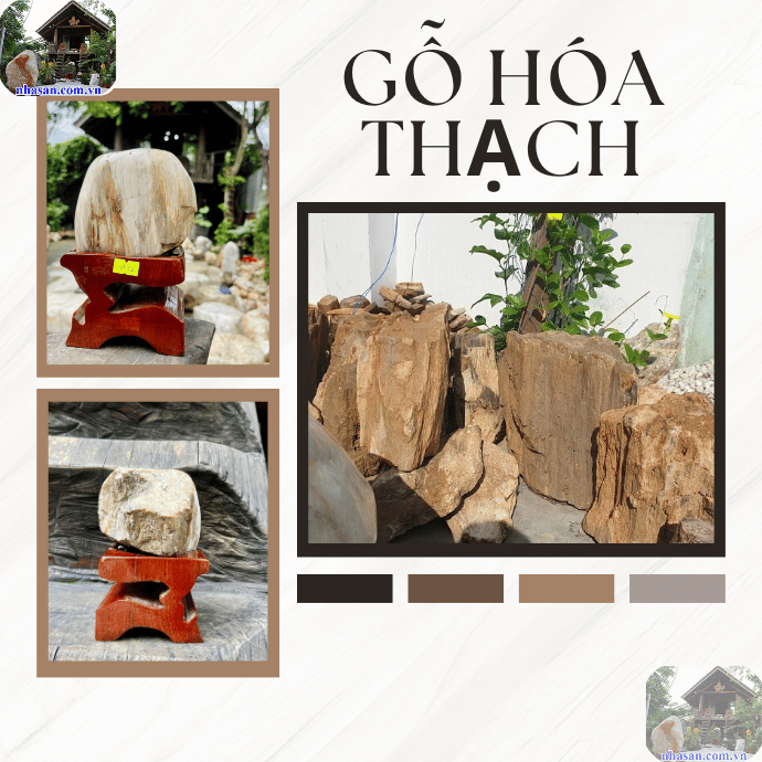 Tại sao gỗ lại hóa thạch qua hàng triệu năm? Tại sao gỗ lại hóa thạch qua hàng triệu năm?