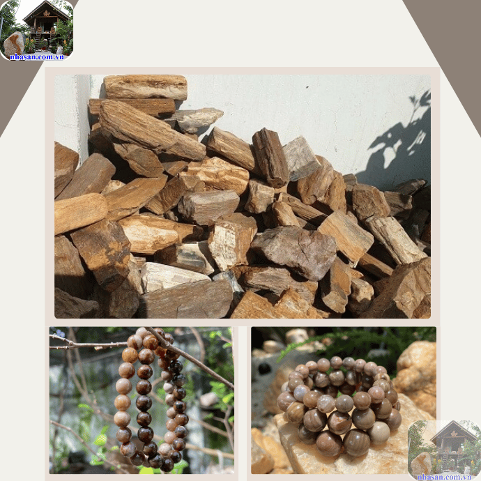 Thời gian kéo dài hàng triệu năm, gỗ sẽ dần dần biến thành đá Thời gian kéo dài hàng triệu năm, gỗ sẽ dần dần biến thành đá