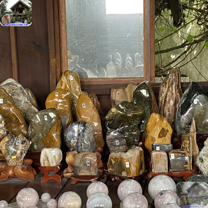 Gỗ hóa thạch có màu sắc tự nhiên và trọng lượng nặng hơn gỗ thông thường Gỗ hóa thạch có màu sắc tự nhiên và trọng lượng nặng hơn gỗ thông thường