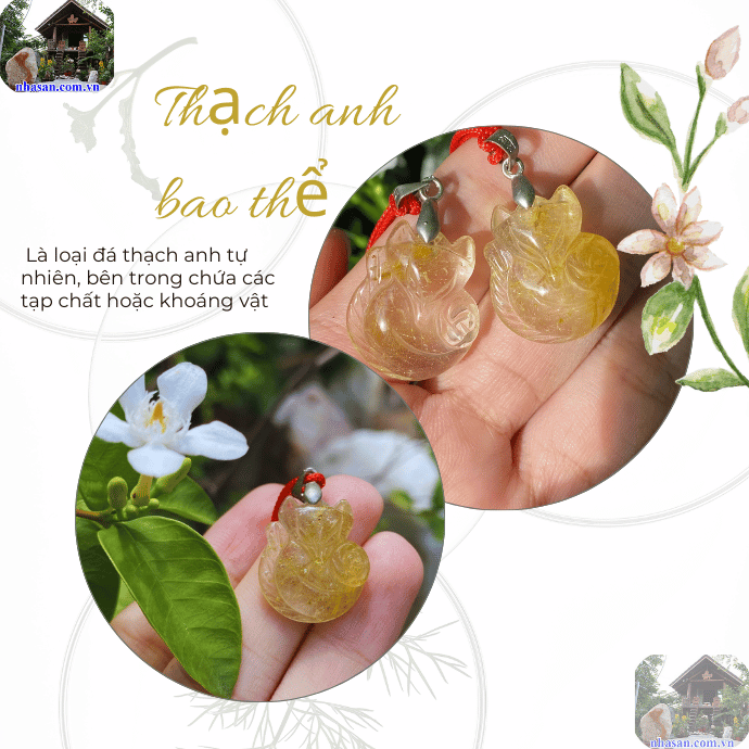 Các bao thể có thể là những vân mây, những tinh thể nhỏ li ti hay những sợi tóc óng ánh Các bao thể có thể là những vân mây, những tinh thể nhỏ li ti hay những sợi tóc óng ánh