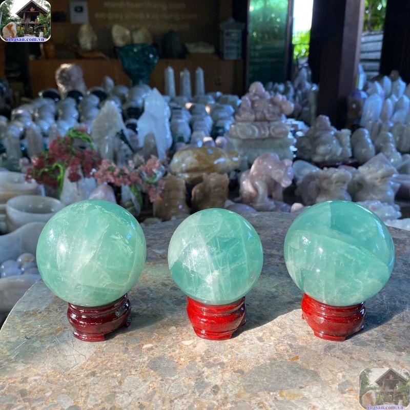 Sự đối lập đầy thú vị giữa Thạch Lựu Mộc và Đại Lâm Mộc Sự đối lập đầy thú vị giữa Thạch Lựu Mộc và Đại Lâm Mộc