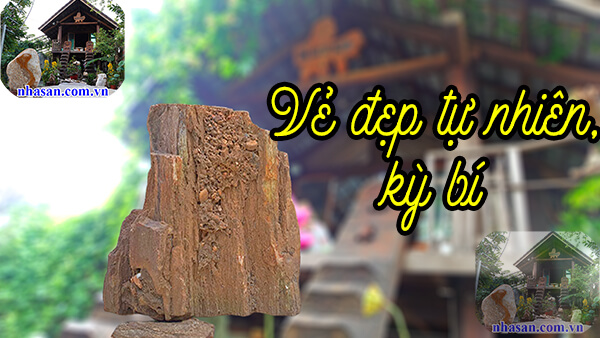 Năng lượng giúp xua đuổi âm khí, trấn trạch Năng lượng giúp xua đuổi âm khí, trấn trạch