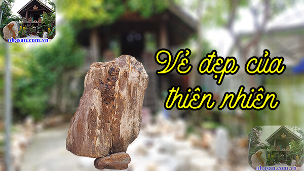 Độ cứng của thạch mộc niên là bền vững Độ cứng của thạch mộc niên là bền vững