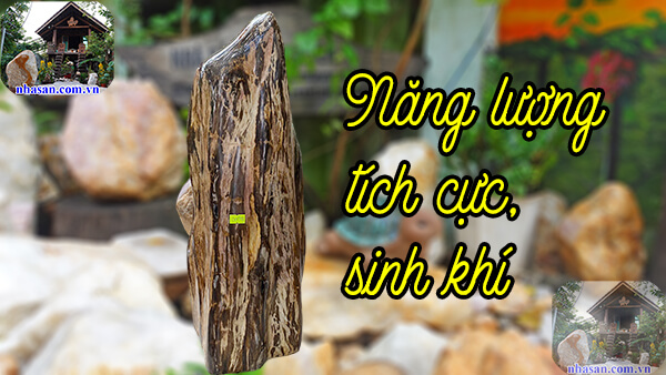 Tạo năng lượng sinh khí cho không gian sống Tạo năng lượng sinh khí cho không gian sống