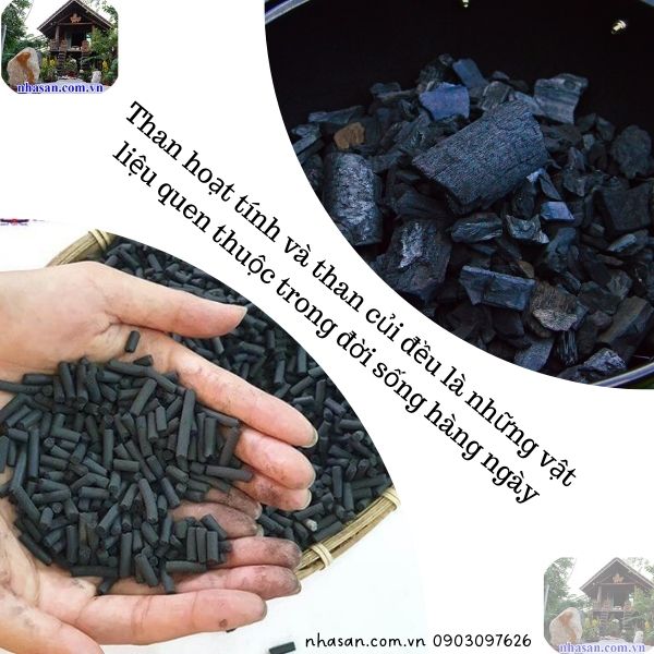 Cả hai loại đều có nhiều sự khác biệt liên quan đến cấu tạo, tính chất và tính ứng dụng Cả hai loại đều có nhiều sự khác biệt liên quan đến cấu tạo, tính chất và tính ứng dụng