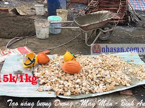 Cheap crushed quartz stone