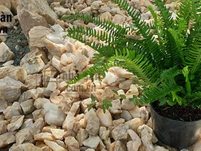 Scientific explanation explaining the bridge tunnel causing toxic rays - Evil. How to reduce?