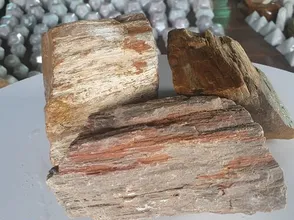 Fossil wood - Uses of fossil wood