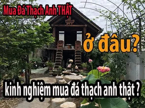 Where to buy Vietnamese quartz stone? How much?