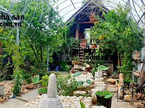 Where to sell Quartz Stone - Feng shui reputation - quality area of Binh Duong.